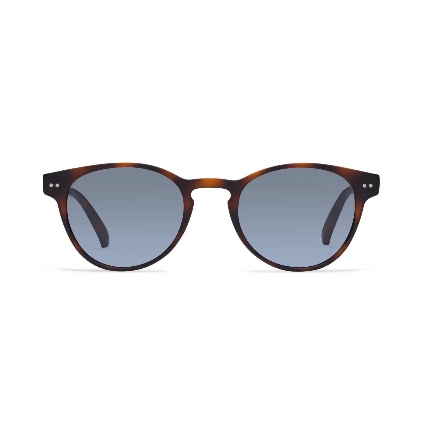 Abbey Sun Sunglasses LOOK OPTIC Tortoise 0.00