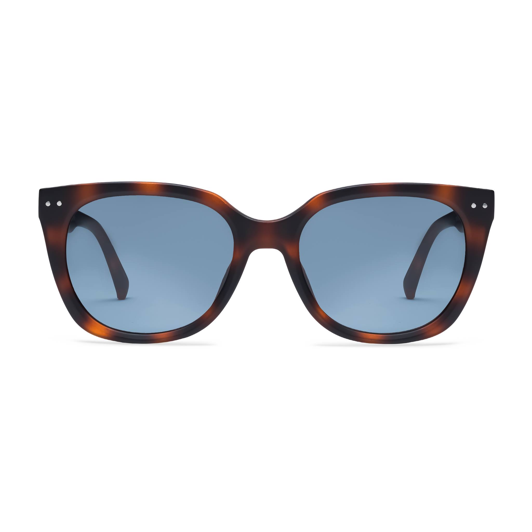 Evita Sun Progressives – LOOK OPTIC