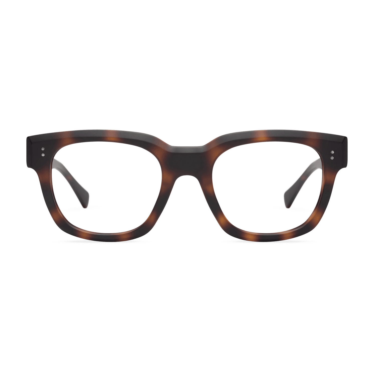 Kaine Progressives PROGRESSIVES LOOK OPTIC Progressive Reader Tortoise +1.00