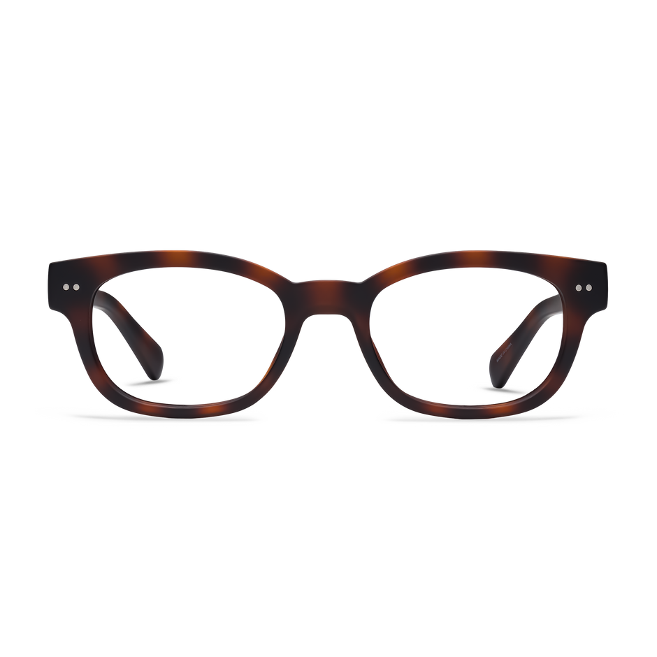 Arti Progressive Readers - Bone Tortoise