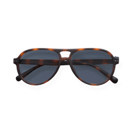 
Tortoiseshell aviator sunglasses with dark gradient lenses and a double bridge.